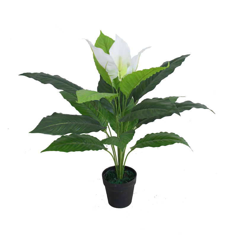 Artificial plant - Anthurium white 70 cm (pp pot)