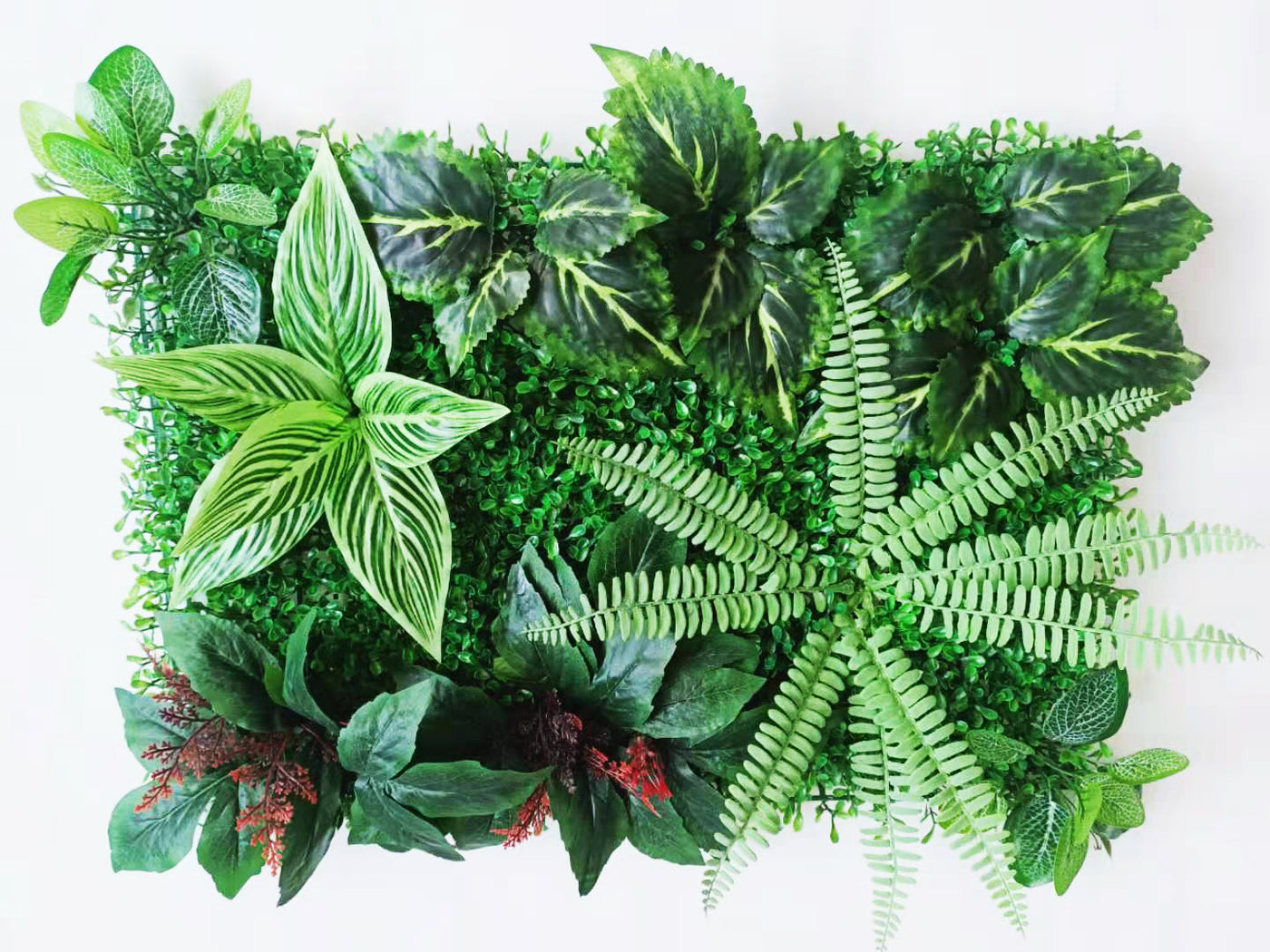 artificial vertical garden