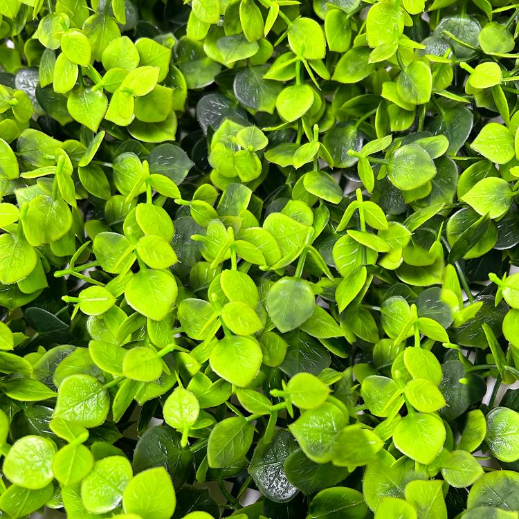 Artificial plant - Artificial Boxwood Mat Green (Long) 50 x 50cm
