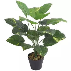 Artificial plant - Money plant 60cm (pp pot)
