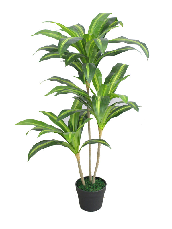 Artificial plant - Dracaena 100cm (pp pot)